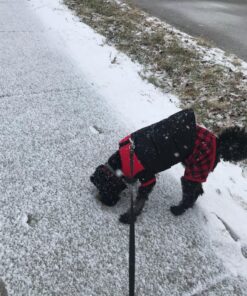Gooby Padded Vest Dog Jacket - Red, Medium - Warm Zip Up Dog Vest Fleece Jacket with Dual D Ring Leash - Winter Water Resistant Small Dog Sweater - Dog Clothes for Small Dogs Boy and Medium Dogs Medium chest (18.25") 1 36 813EU76zRL