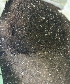 FoxFarm Ocean Forest Potting Soil, 1.5 cu ft, brown/a (FX14000) 26 813EXPXoPcL