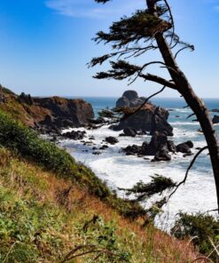 Sigma 18-35mm F1.8 Art DC HSM Lens for Nikon US Version 58 813GwZEmI1L