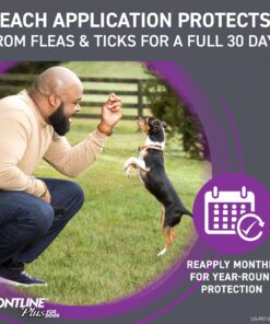 FRONTLINE Plus Flea and Tick Treatment for X-Large Dogs Up to 89 to 132 lbs., 3 Treatments 3 Count 27 813J7HcBbUL