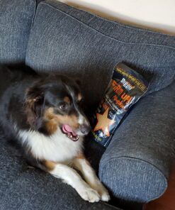 Diggin' Your Dog Firm Up Pumpkin for Dogs & Cats, 100% Made in USA, Pumpkin Powder for Dogs, Digestive Support, Apple Pectin, Fiber, Healthy Stool, 16 oz 16 oz (Pack of 1) 30 813Jg27r6yL