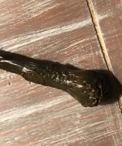 The Noble Collection Ron Weasley's Wand in Ollivander's Box 26 813LlnrzYzL