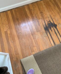 Scott's Liquid Gold Scott%27S ScottPercent27S+Liquid+Gold+Floor+Restore+Gloss, 24 Fl Oz (Pack of 1) 38 813M7bCEDL