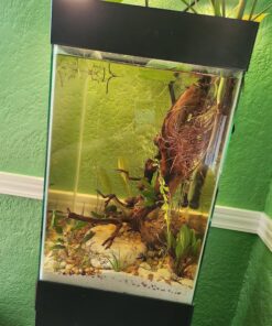 Florida 10 Species Live Aquarium Plants Bundle 38 813MM2jyNYL