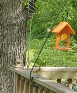 Songbird Essentials SERUBFJF Fruit and Jelly Oriole Feeder (Set of 1) 53 813NoxCEx9L
