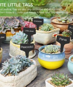 Prudance® 50pcs T Tag Plant Markers - Premium Nursery Garden Labels - Black 25 813RktOvd8L