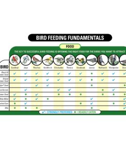 Wagner's 13008 Deluxe Wild Bird Food, 10 lb Bag Original Version 22 813SoTwVdbL 2