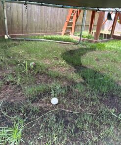 Scotts EZ Seed Patch and Repair Sun and Shade for Grass: Covers up to 225 sq. ft., 10 lb. 10 lb. 1 Pack 44 813TuZb5tIL