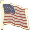 FindingKing USA Flag Lapel Pin Standard - Flag A-Series 3 with Longer Pole 24 813UJVCUyXL