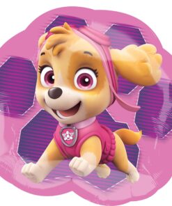 Girl Pups Paw Patrol 12" Latex Balloons 6 Count Party Supplies: Skye & Everest 3 813V76CDOVL