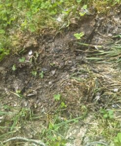 Drain King 750 Unclogs Main Drain & Sewer Line with Water Power, Plastic, 3 to 6 Inch 10 813d1xRXpSL