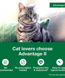 Advantage II Small Cat Vet-Recommended Flea Treatment & Prevention | Cats 5-9 lbs. | 6-Month Supply 6 Pack Small Cat only 20 813egBmSL