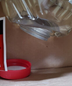 Kaytee Hummingbird ElectroNectar Wild Bird Food, Ready to Use, 64 Ounces 64 oz Ready To Use 37 813emrhX6gL