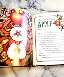 The Illustrated Herbiary: Guidance and Rituals from 36 Bewitching Botanicals (Wild Wisdom) 60 813eodt1i2L