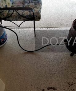 DOZYANT 4 Feet High Pressure Propane 0-20 PSI Adjustable Regulator with QCC1 / Type1 Hose - Fits for Propane Burner Turkey Fryer Smoker and More Appliances - Safety Certified 10 813f9Dk fLL