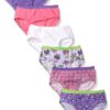 Fruit of the Loom Girls' Little 6pk Assorted Hipster Little Girls 2-3T 2 813hywiATkL