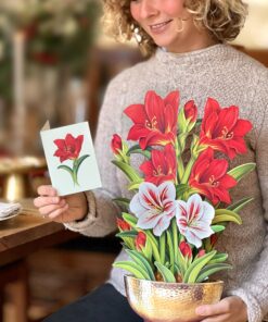Freshcut Paper Pop Up Cards, Scarlet Amaryllis, 16 inch Life Sized Forever Flower Bouquet 3D Popup Christmas, Winter, Holiday Greeting Cards with Note Card and Envelope - Christmas Decorations 14 813krhUHCFL