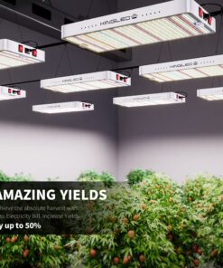 KingLED Newest 3000w LED Grow Lights with LM301B LEDs 4 * 2ft Coverage Full Spectrum Grow Lights for Indoor Hydroponic Plants Veg Bloom Greenhouse Growing Lamps 36 813qvxMWefL 2