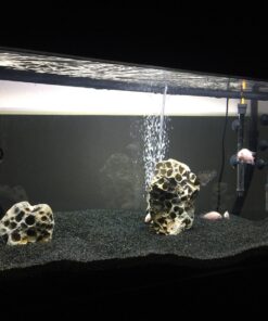 Penn-Plax Cascade All-in-One Aquarium Canister Filter – for Tanks Up to 100 Gallons (265 GPH) – Cascade 1000 Cascade-1000 77 813sLepUyL