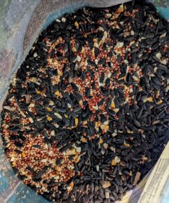 Wagner's 62012 Southern Regional Blend Wild Bird Food, 20-Pound Bag 29 813uGAFVdmL