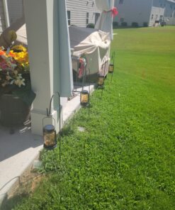 Ashman Shepherd's Hooks 35 Inch (12 Pack), Black, Made of Premium Metal for Hanging Solar Lights, Bird Feeders, Mason Jars, Christmas Lights, Lanterns, Garden Stakes and Wedding Décor. 12 Pack 52 813zHbzCVZL