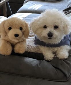 Aurora® Adorable Flopsie™ Goldie™ Stuffed Animal - Playful Ease - Timeless Companions - Brown 12 Inches Single 20 81424lidtLL