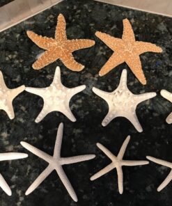 U.S. Shell, Inc. Starfish Mix 32 8142MUGLLL