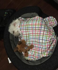 KONG - Cozie Marvin Moose - Indoor Cuddle Squeaky Plush Dog Toy - for Small Dogs Gold,brown 32 8142U1nHJsL