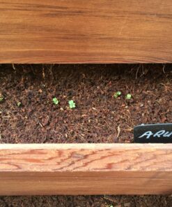 Prudance® 50pcs T Tag Plant Markers - Premium Nursery Garden Labels - Black 37 8143BY4 IRL