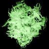 Glow in the Dark Insects - 144 Pieces - Party Favor and Prank Toys - Assorted Reptiles and Bugs Toys – Great for Halloween, Birthday Parties, Piñatas, Prizes and More - by Skeleteen 8 8144PGQ53LL