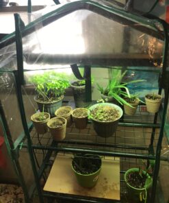 Gardman R687 4-Tier Mini Greenhouse, 27" Long x 18" Wide x 63" High,Black 56 8144qgSlsRL