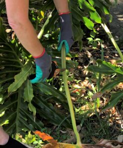 Garden Gloves Women and Men 2 pairs, Super Grippy Texture for Gardening and Work Activities - S,M,L Sizes (Small) Small (2 Pair) Green 12 8145AXZw8yL