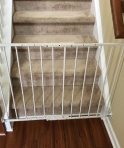 Mont Marte Terracotta Color Air Hardening Modeling Clay 500g (1.1lb). Terracotta Color Air Dry Clay with Drying Time of Approximately 24 Hours. Suitable for Sculptors and Modelers of All Skill Levels. 1.1lb Terra 21 8146EAKuV8L