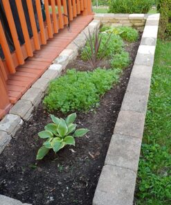 Hummingbird Nectar Wildflower Seeds Bulk Open-Pollinated Wildflower Seed Mix Packet, Non-GMO, No Fillers, Annual, Perennial Wildflower Seeds Year Round Planting - 1 oz 108 8148db9KdFL