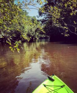 Earth Pak Waterproof Dry Bag - Roll Top Waterproof Backpack Sack Keeps Gear Dry for Kayaking, Beach, Rafting, Boating, Hiking, Camping and Fishing with Waterproof Phone Case 10L Blue 24 8149urc0OfL