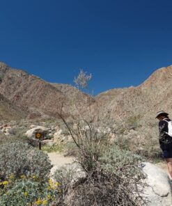 Amazon Basics Circular Polarizer Camera Lens Filter - 72 mm 39 8149xjtYtNL