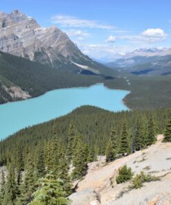 Nikon D5300 24.2 MP CMOS Digital SLR Camera with 18-55mm f/3.5-5.6G ED VR Auto Focus-S DX NIKKOR Zoom Lens (Black) 79 814A 2c rJL