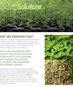 Healing Solutions 10ml Oils - Oregano Essential Oil - 0.33 Fluid Ounces 0.33 Fl Oz (Pack of 1) 18 814AAy1EJOL