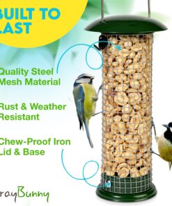 Premium Steel Sunflower Seed and Peanut Feeder, 9.5" Tall, Wild Bird Feeder for Woodpeckers, Titmice, Nuthatches, Chickadees, Jays and More, Gifts for Mom, for Women, Gifts for Dad 9.5 inch 21 814EX35e09L