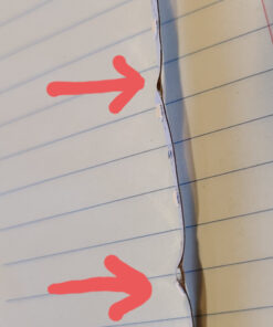 Lepro 12V LED Strip Light, Flexible, SMD 2835, 16.4ft Tape Light for Home, Kitchen, Party, Christmas and More, Non-Waterproof, Warm White(Not Include Power Adapter) 16.4 ft 49 814G4ur4tVL