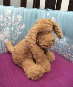 Jellycat Fuddlewuddle Puppy Stuffed Animal, Medium, 9 inches 26 814GhAM8wSL