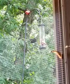 Alternative view of DAWN OF PETS V2 Tube Bird Feeder for Outside, Weather Proof, Hanging, Easy to Setup, Durable, Tube Bird Feeder for Outdoors, Wild Bird Feeder for Outdoors and for Backyard Decoration, July 4th Gift