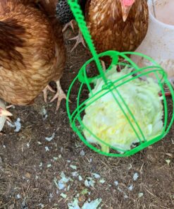 Ware Manufacturing Chick-N-Veggie Treat Ball 20 814KNzzxe9L