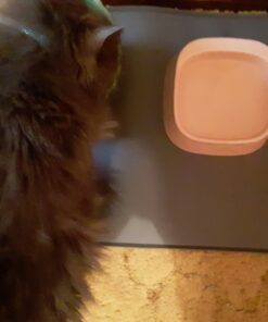 Hill's Science Diet Dry Cat Food, Adult, Hairball Control, Light for Healthy Weight & Weight Management, Chicken Recipe, 7 lb. Bag 7 Pound (Pack of 1) 28 814NnHE6ogL