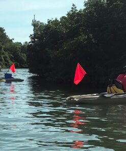 Airhead Deluxe Watersports Red Flag (4 ft) - Premium Watersports Safety Accessory - Enhanced Visibility and Safety for Water Skiing Watersports Flag 4' 7 814OBvYNjtL