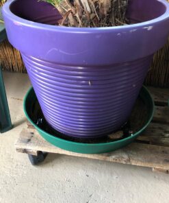 Hydrofarm HGS16P Green Premium, Pack of 10 Saucers, 16 inches 11 814P12xIVQL