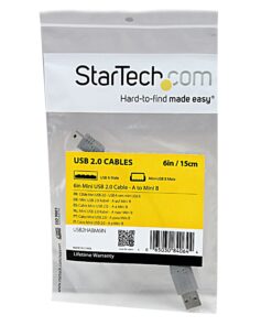 StarTech.com 6 in. USB to Mini USB Cable - USB 2.0 A to Mini B - Gray - Mini USB Cable (USB2HABM6IN) 6in / 15cm Straight 8 814QML4jYAL