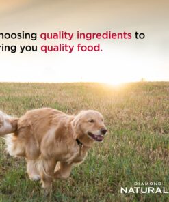 Diamond Naturals Dry Food for Adult Dog, Beef and Rice Formula, 40 Pound Bag (074198608331) 40 Pound (Pack of 1) 22 814QvZ8kcNL