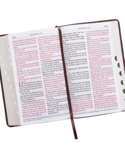 KJV Holy Bible, Giant Print Standard Size Faux Leather Red Letter Edition - Thumb Index & Ribbon Marker, King James Version, Dark Brown Imitation Leather 50 814SKJNgtHL