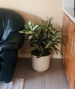 Nearly Natural 6673 30in. Aglaonema with Decorative Vase Silk Plant,Green,7.5" x 9" x 30" 22 814Ts7yra7L